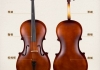 大提琴结构组成